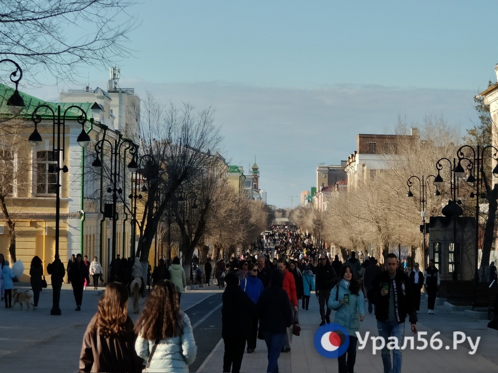    Закупка на содержание набережной Урала и улицы Советской в Оренбурге была организована с нарушениями