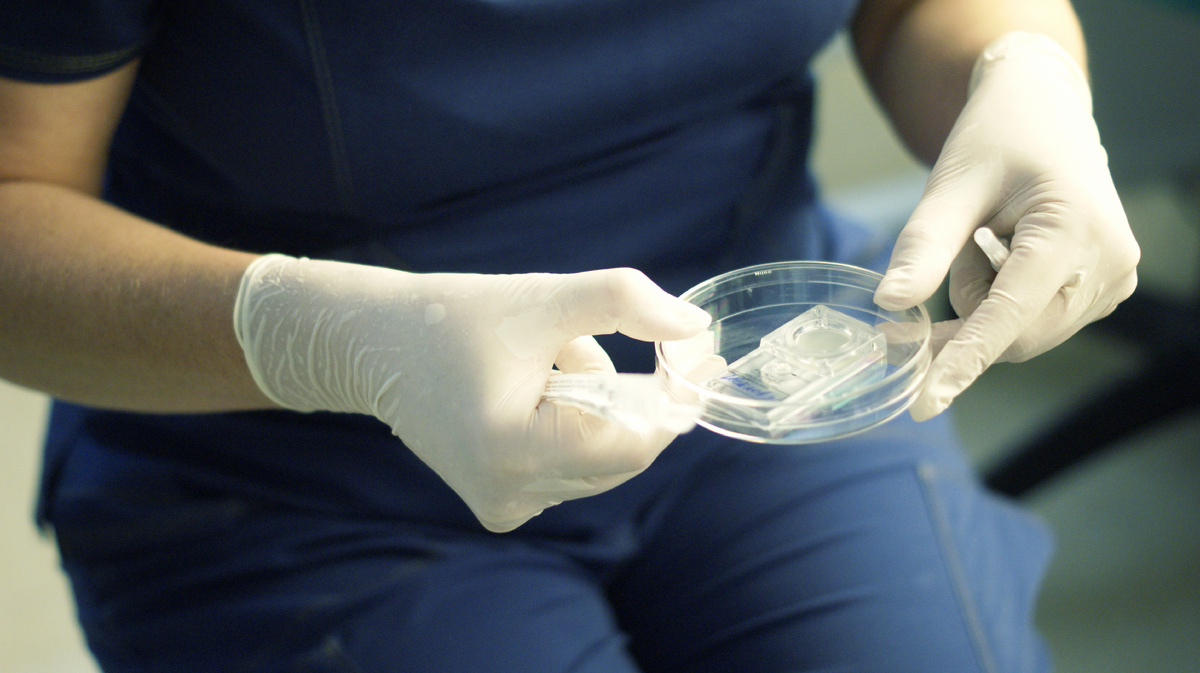 Вес имеет значение в результативности программ ЭКО