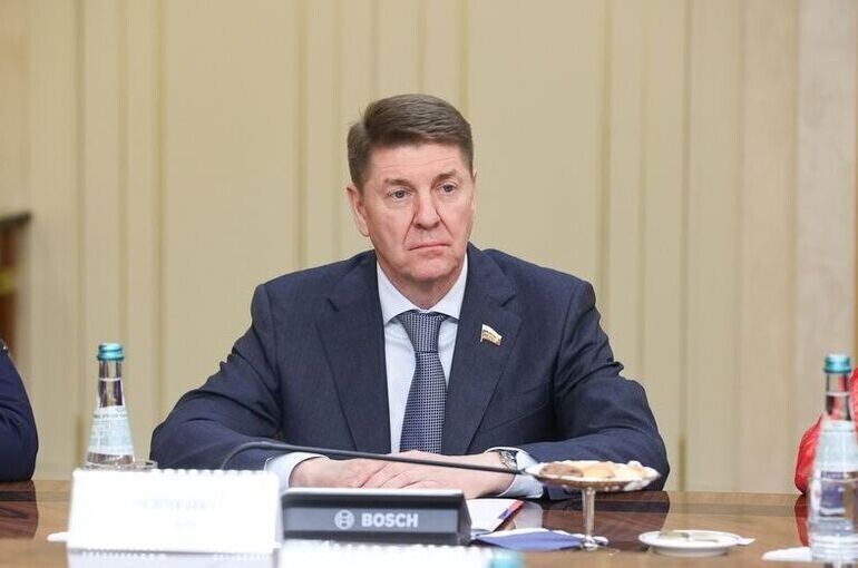   Денис Вышинский/Пресс-служба Совета Федерации
