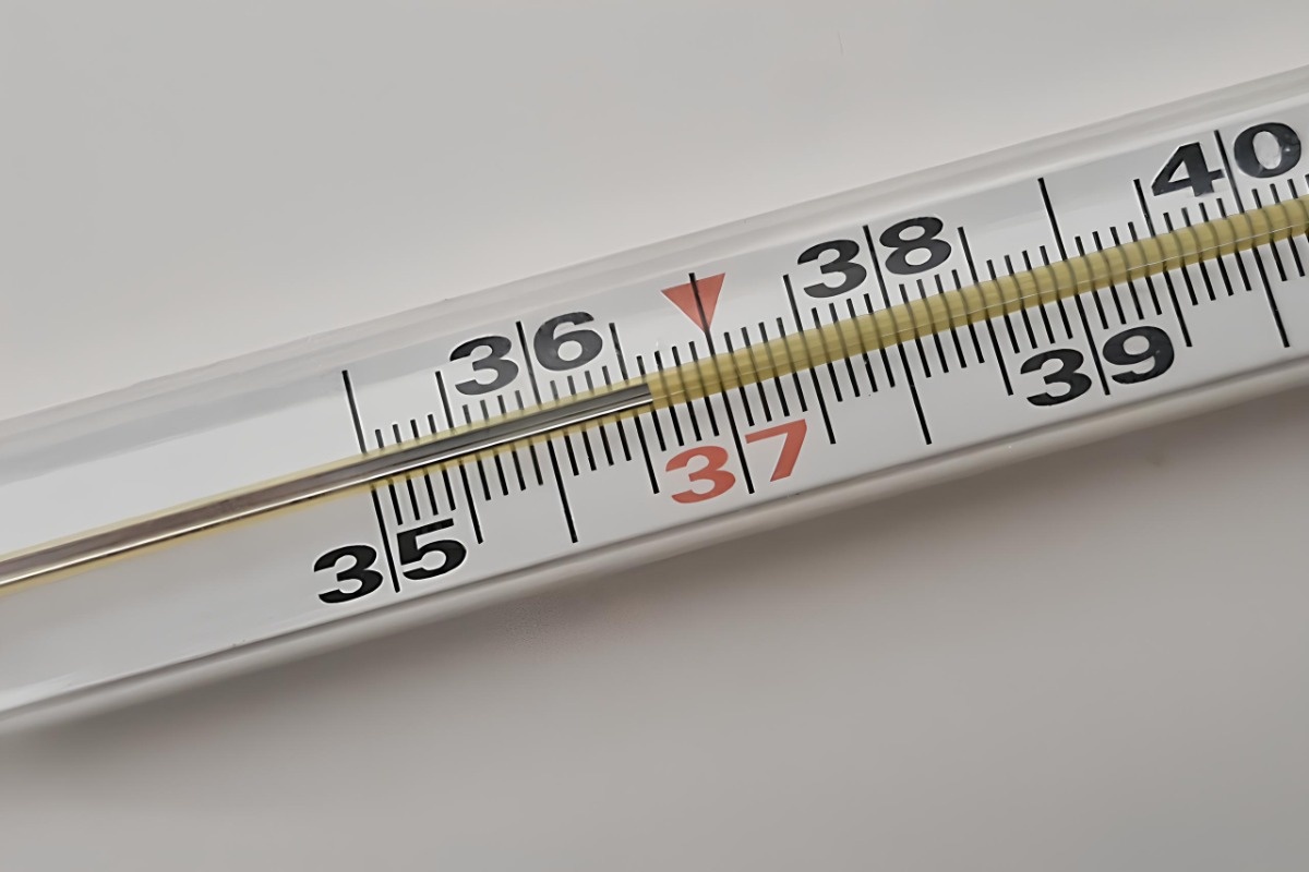    Фото: Виолетта Биенко