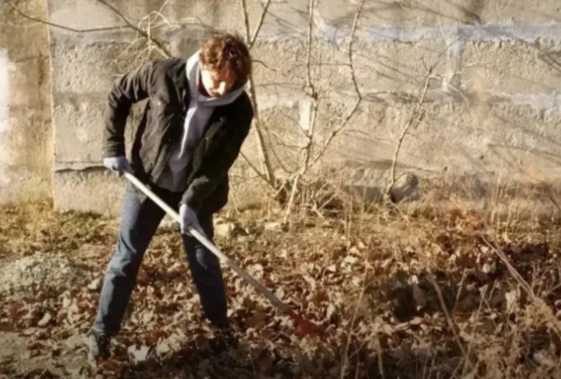 Убирайтесь! Чиновники снова приглашают новороссийцев на субботник