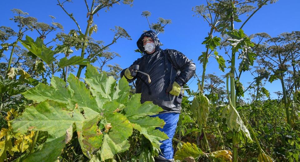    Patrick Pleul/dpa / www.globallookpress.com