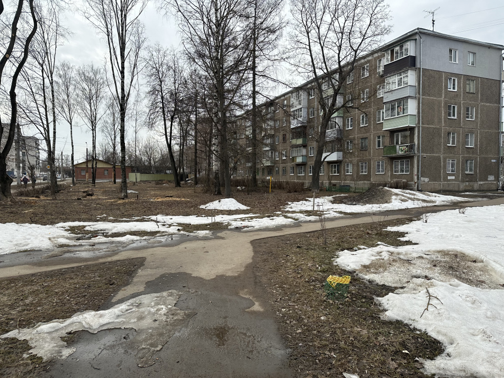    Фото: grad.kostroma.gov.ru