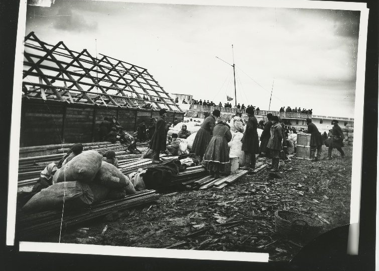 Поиск переселенцев