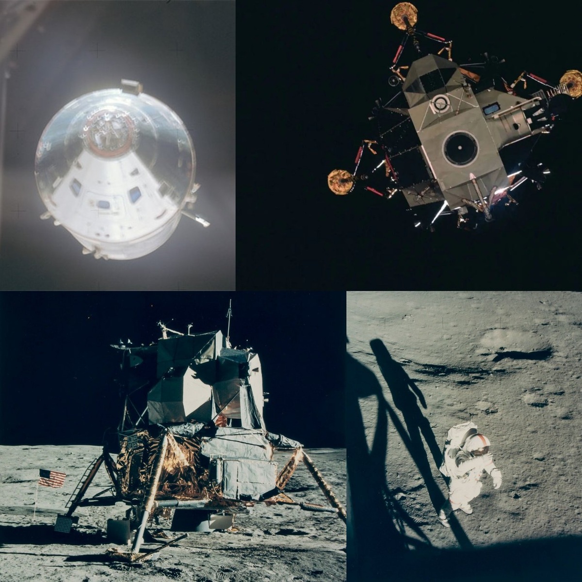 Коллаж автора.