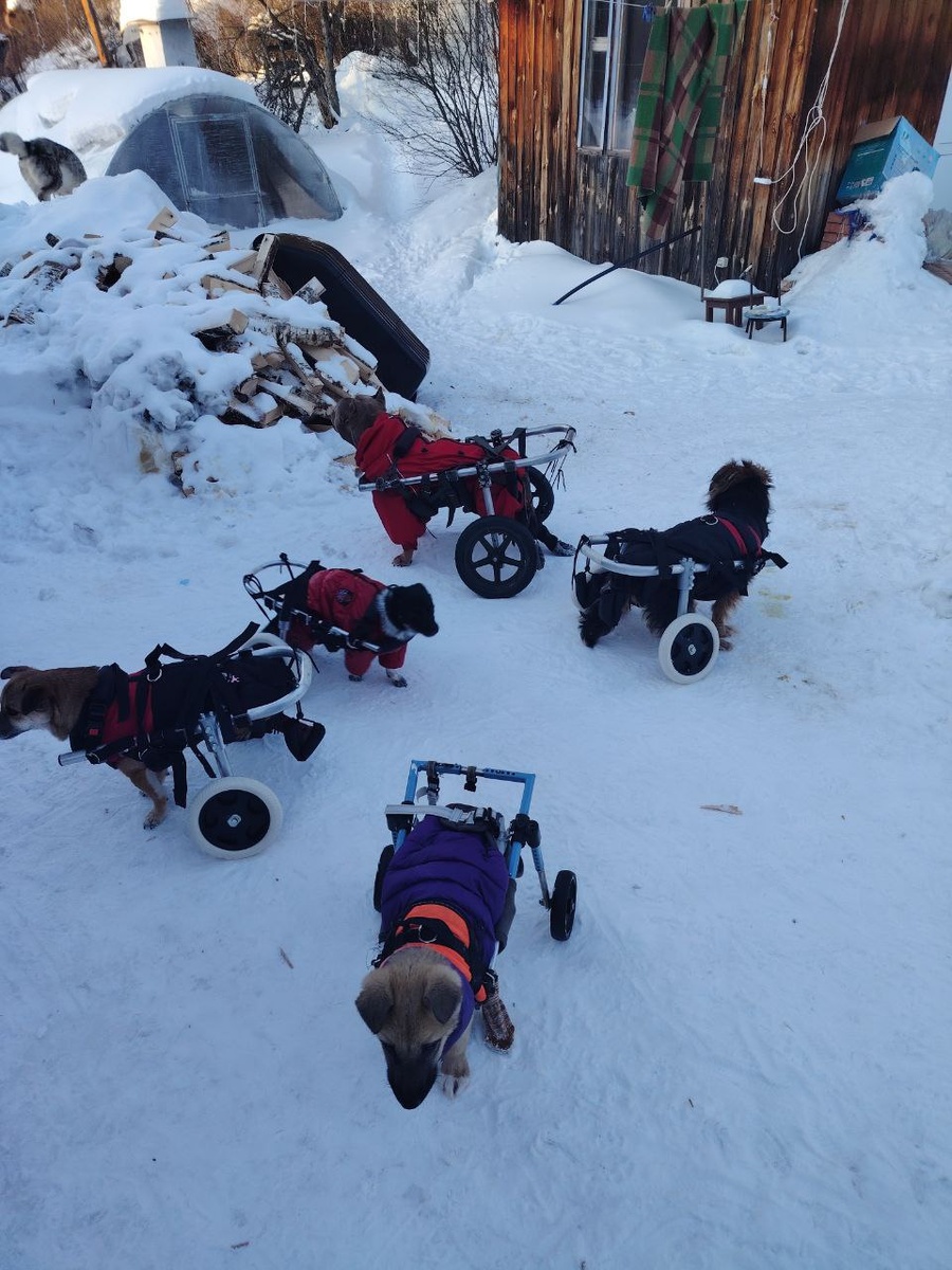 Только вы можете им помочь