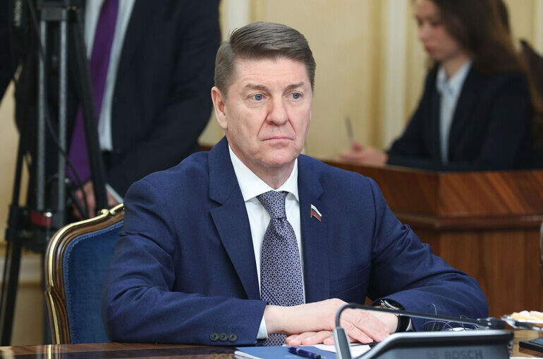   Денис Вышинский/Пресс-служба Совета Федерации