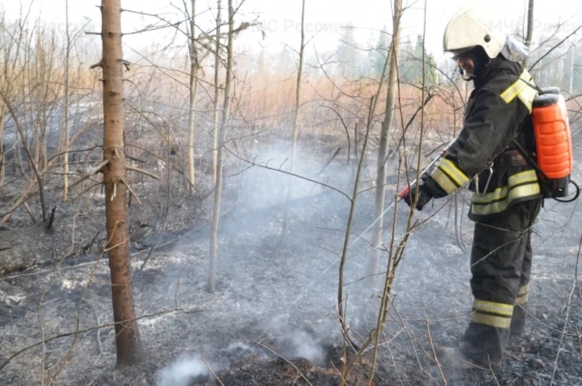   В Твери ведется подготовка к пожароопасному периоду