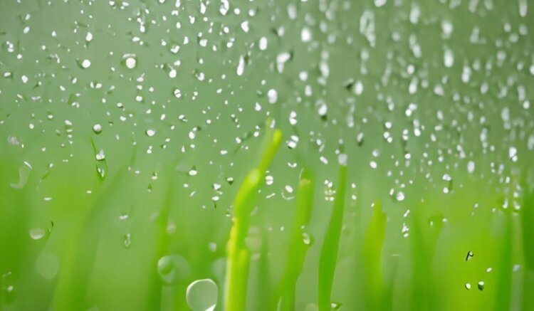    Фото: Медведева Анна, AgroXXI.ru