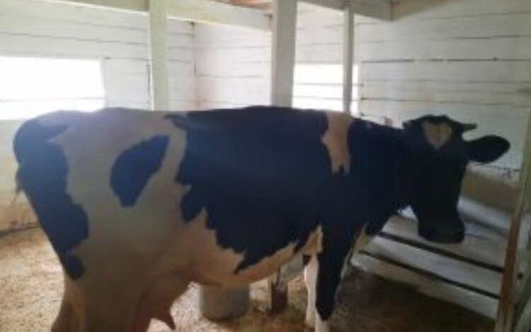    Фото: Приморское межрегиональное управление Россельхознадзора