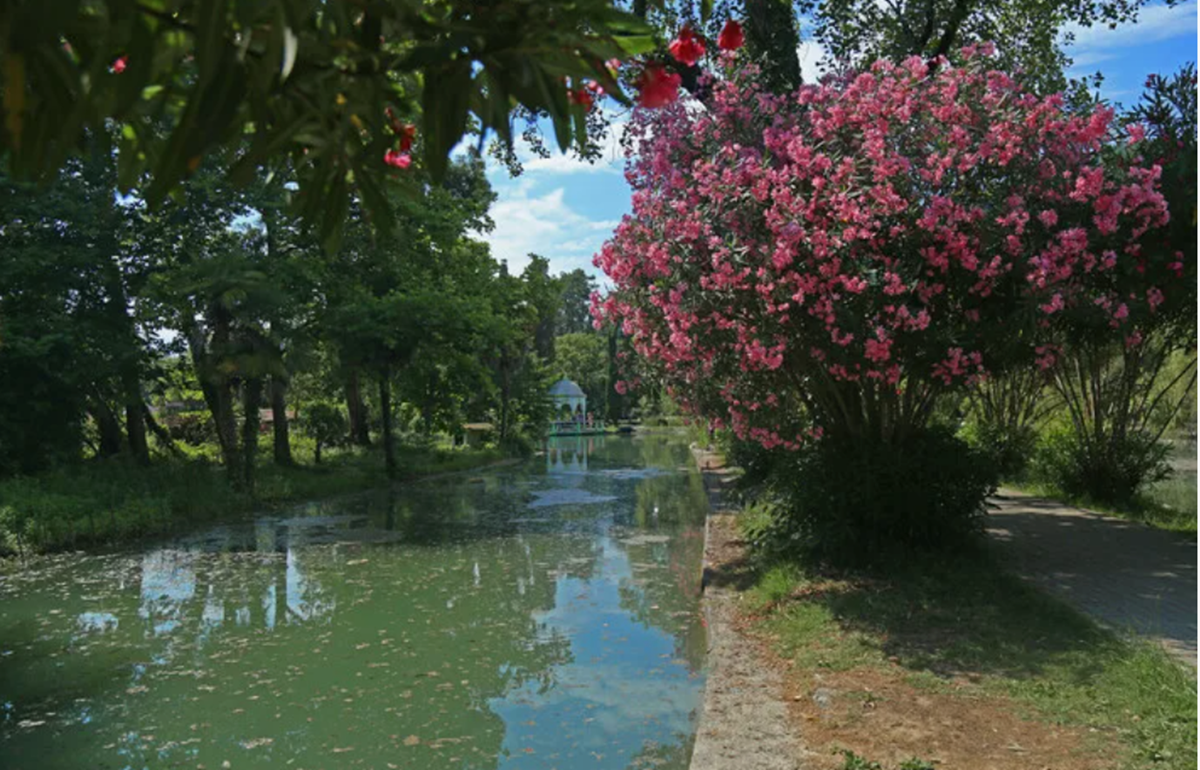 Весна в Абхазии. Фото скопировано