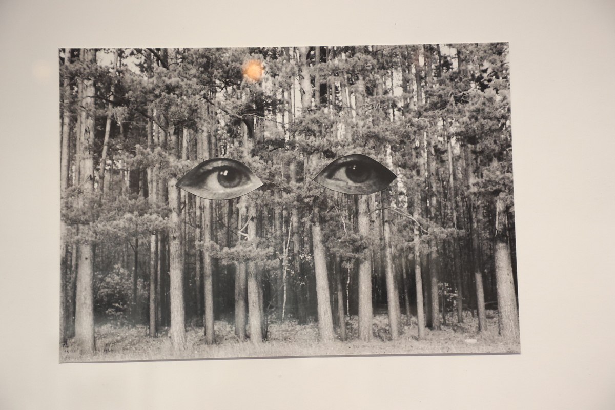    Фото: Ростислав Нетисов, nsknews.info