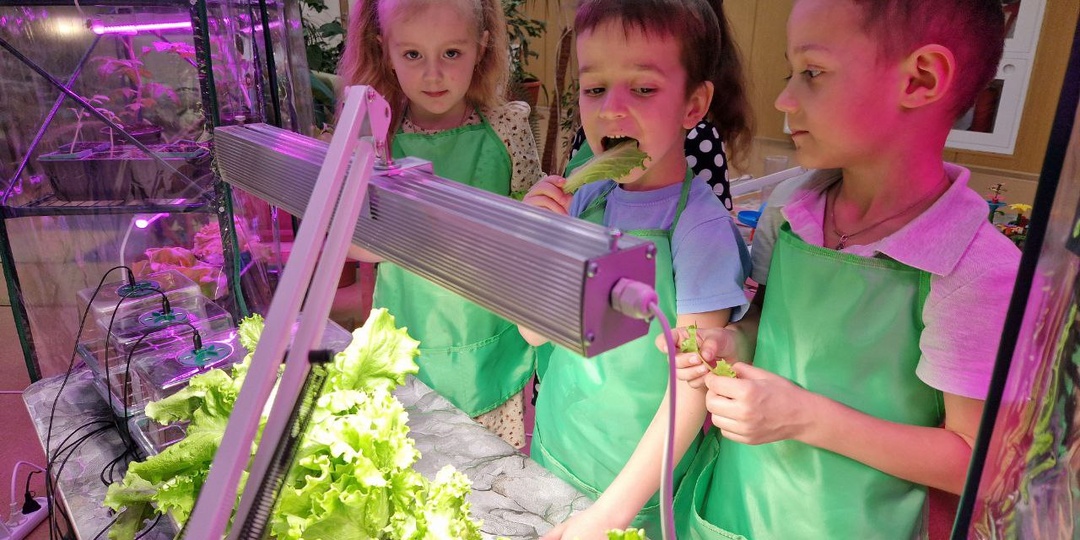 «Мираторг» запустил программу ранней агроподготовки в корпоративном детском саду