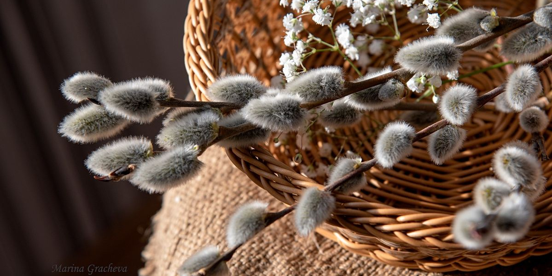 Вербное воскресенье в 2026 году: смысл, традиции и приметы