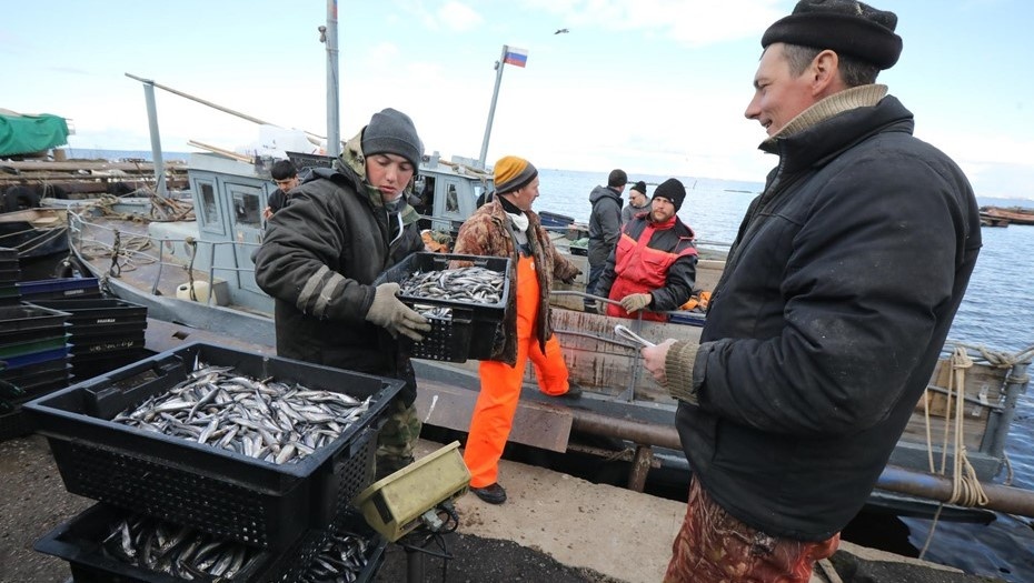    Автор фото: Лидия Верещагина/"ДП"