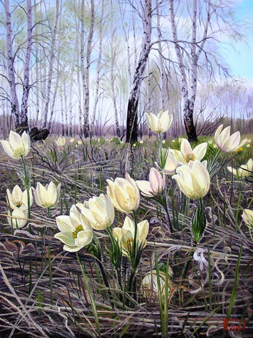 Первоцветы. Автор Репин Дмитрий. Взято из интернета.