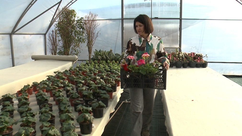    Фото: СвоёТВ Кира Лютова