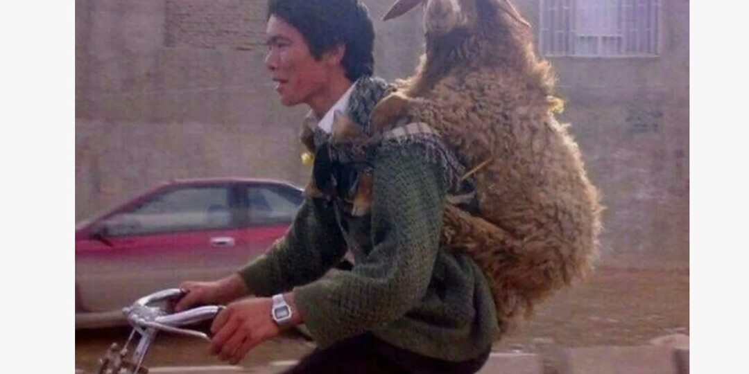 «Борзость зашкалила»: мигрантам в России стало мало мечетей, теперь им нужны бараны