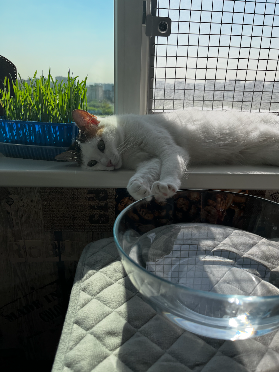 Когда всё вроде бы есть… но это не то, что ты хотел.