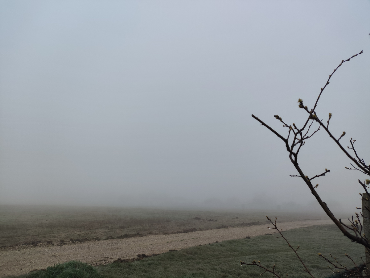 Ёёёёжииик....