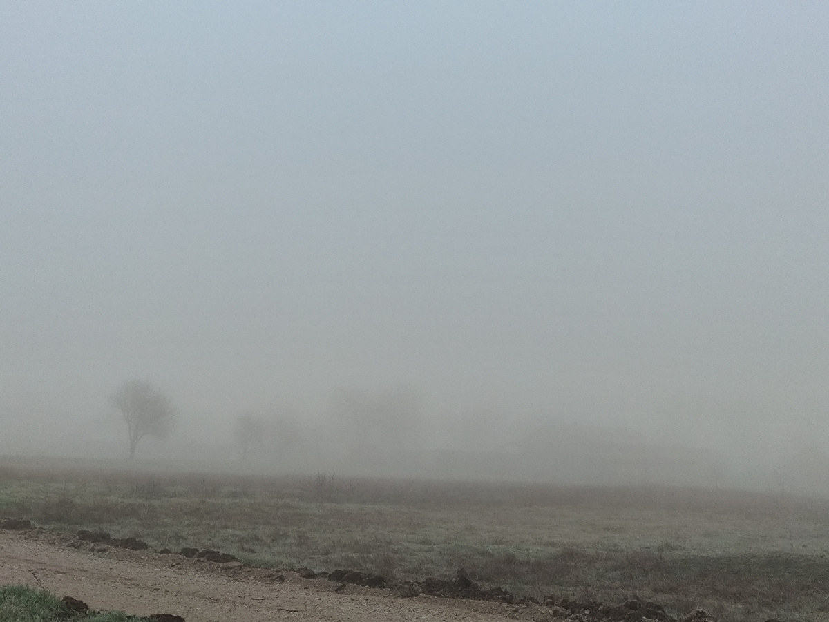 Нет никто....