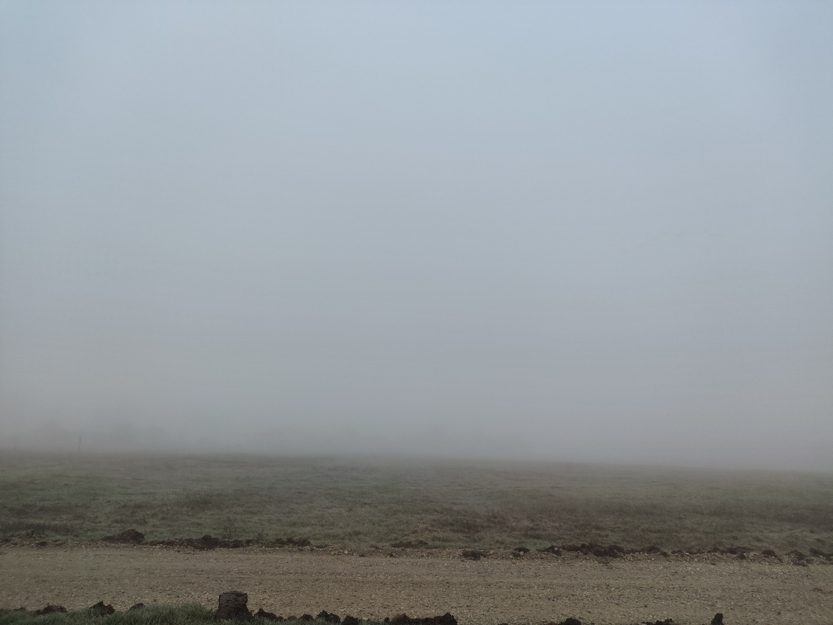 Лошаааадкаааа....