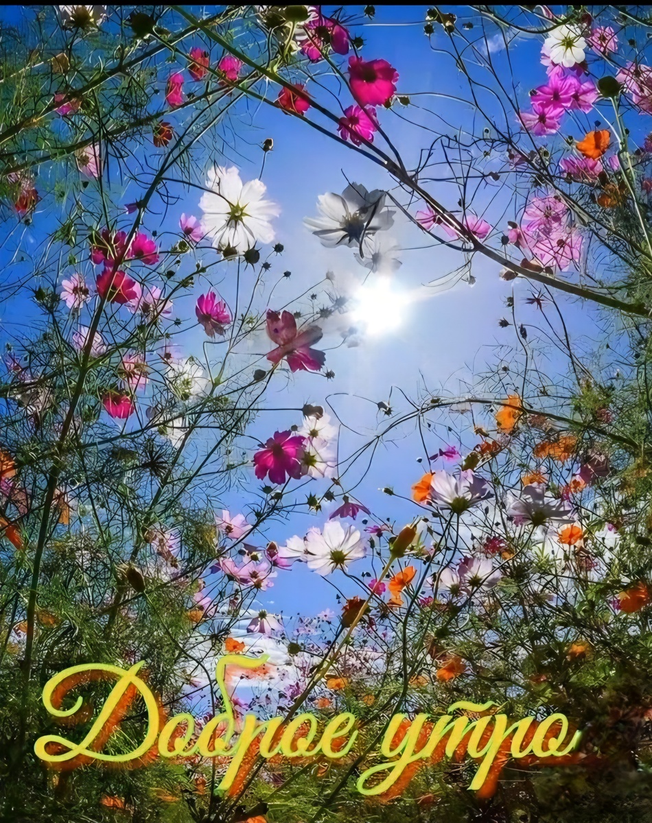 Скрин сделан автором статьи