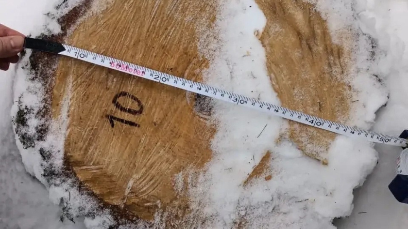    Фото: Прокуратура Калужской области