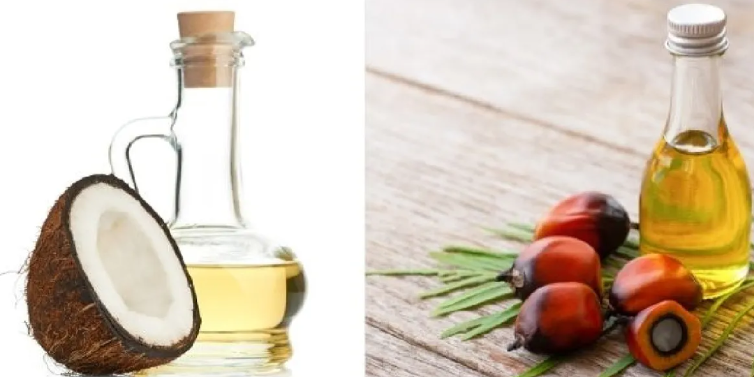 Какое масло вреднее – пальмовое или кокосовое?