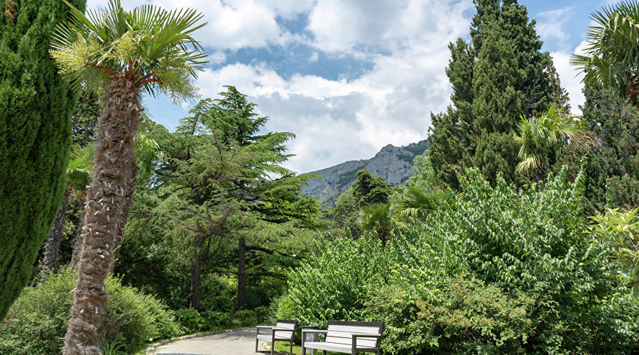 Фото предоставлено санаторием «Форос»
