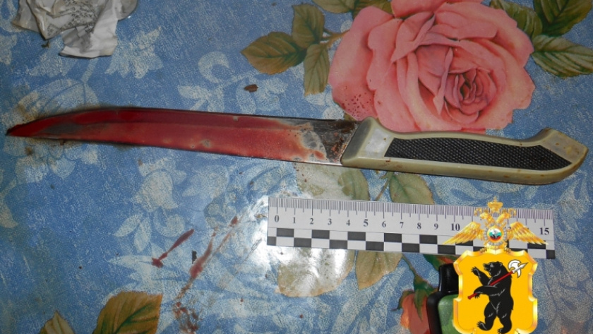    УМВД России по Ярославской области