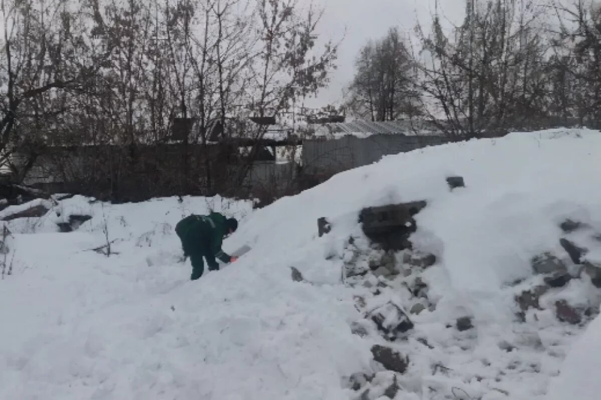    Суд обязал мэрию Нижнего Новгорода выплатить 2 млн рублей за свалку