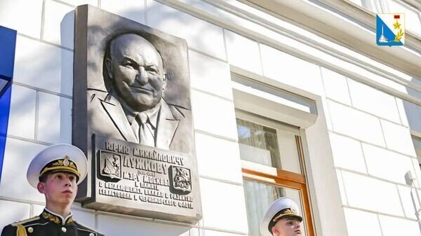    © Telegram Михаил Развожаев