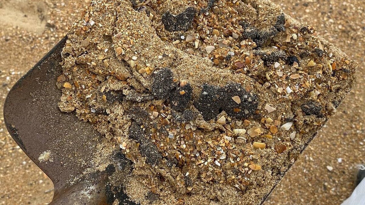    Фото: телеканал «Краснодар»