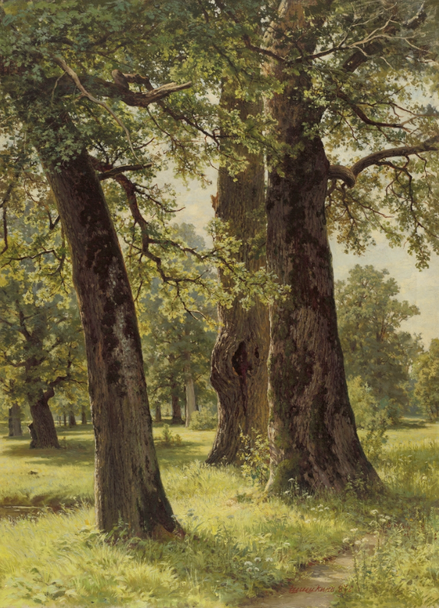 Иван Шишкин «Дубы», 1887