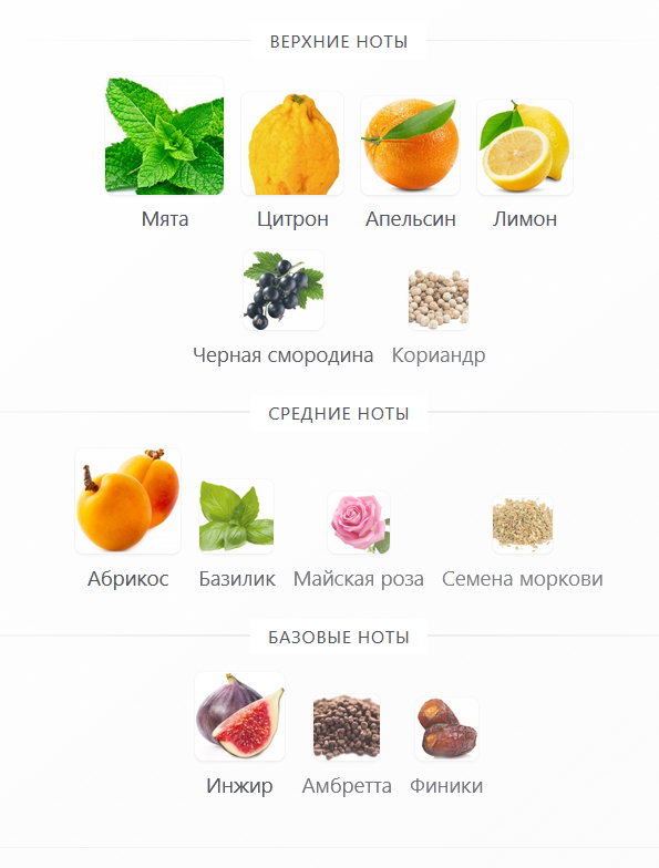 пирамида с Fragrantica.ru