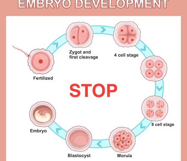 Почему эмбрионы не дорастают до 5 суток? 🧬Клинический случай из практики, мутация гена NLRP5!😱