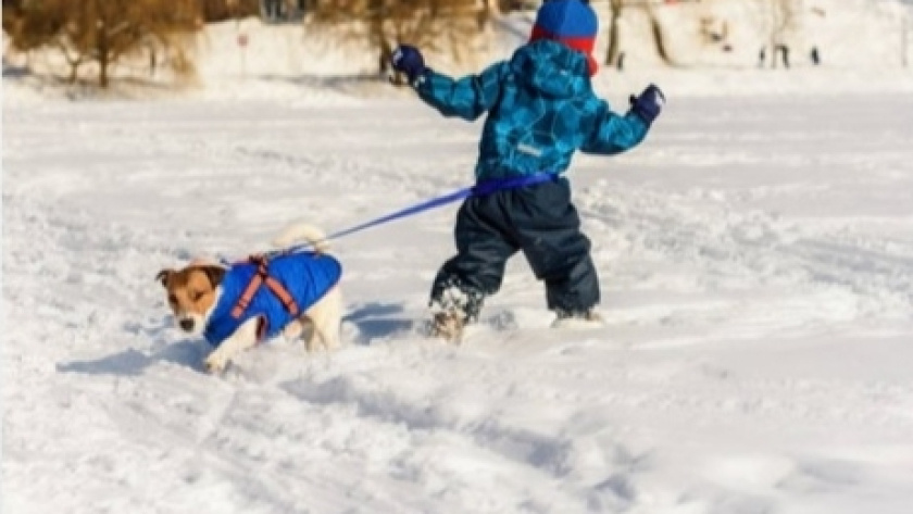    аппарат уполномоценного по правам ребенка Яо