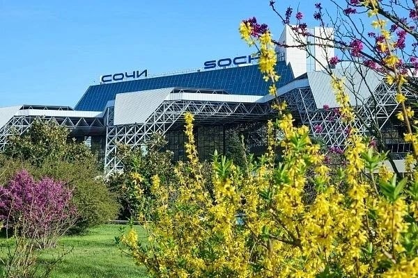    Аэропорт Сочи. Фото: t.me/officialsochi