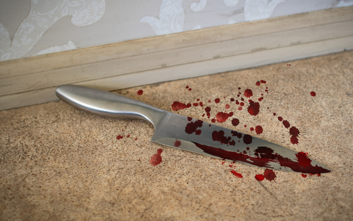    фото: Столица на Онего