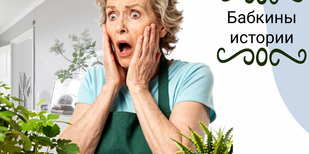 Убирайтесь, дорогие гости