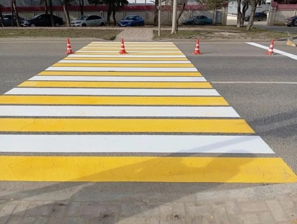    Фото: администрация Ставрополя Михаил Маслов