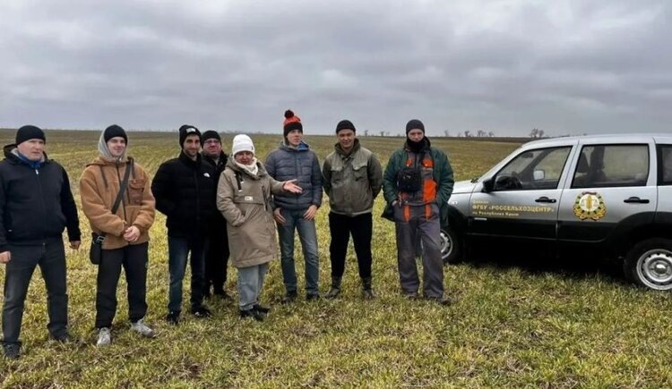 Итоги весеннего мониторинга саранчовых 2026 в Крыму