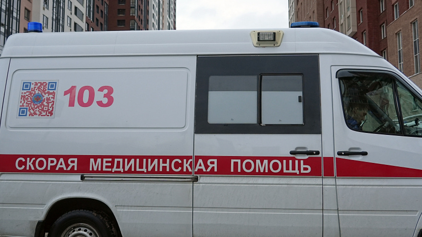    Фото: ИЗВЕСТИЯ/Павел Волков; 5-tv.ru