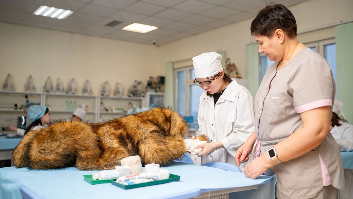    Фото: Сергей Зубков/«Ямал-Медиа»