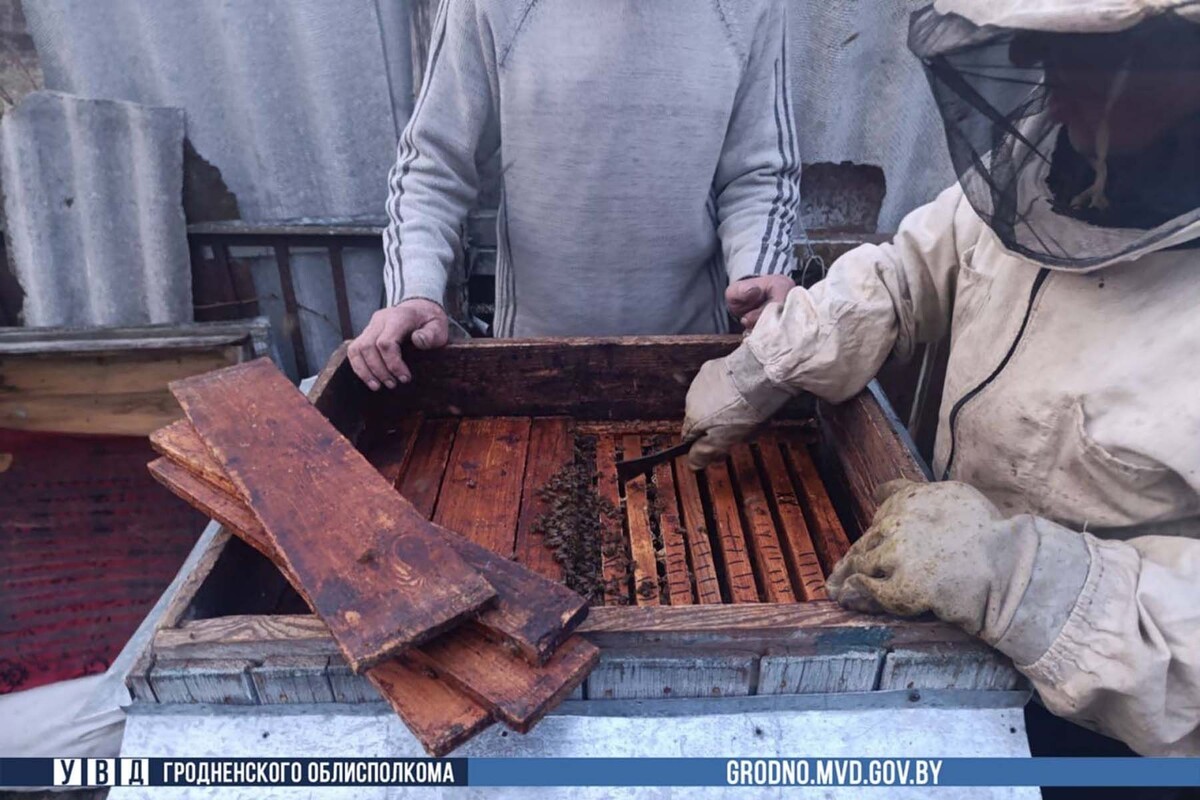  © УВД Гродненского облисполкома, ВКонтакте