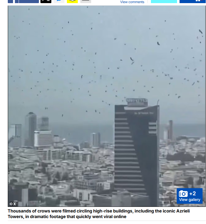    Фото: скриншот Daily Mail