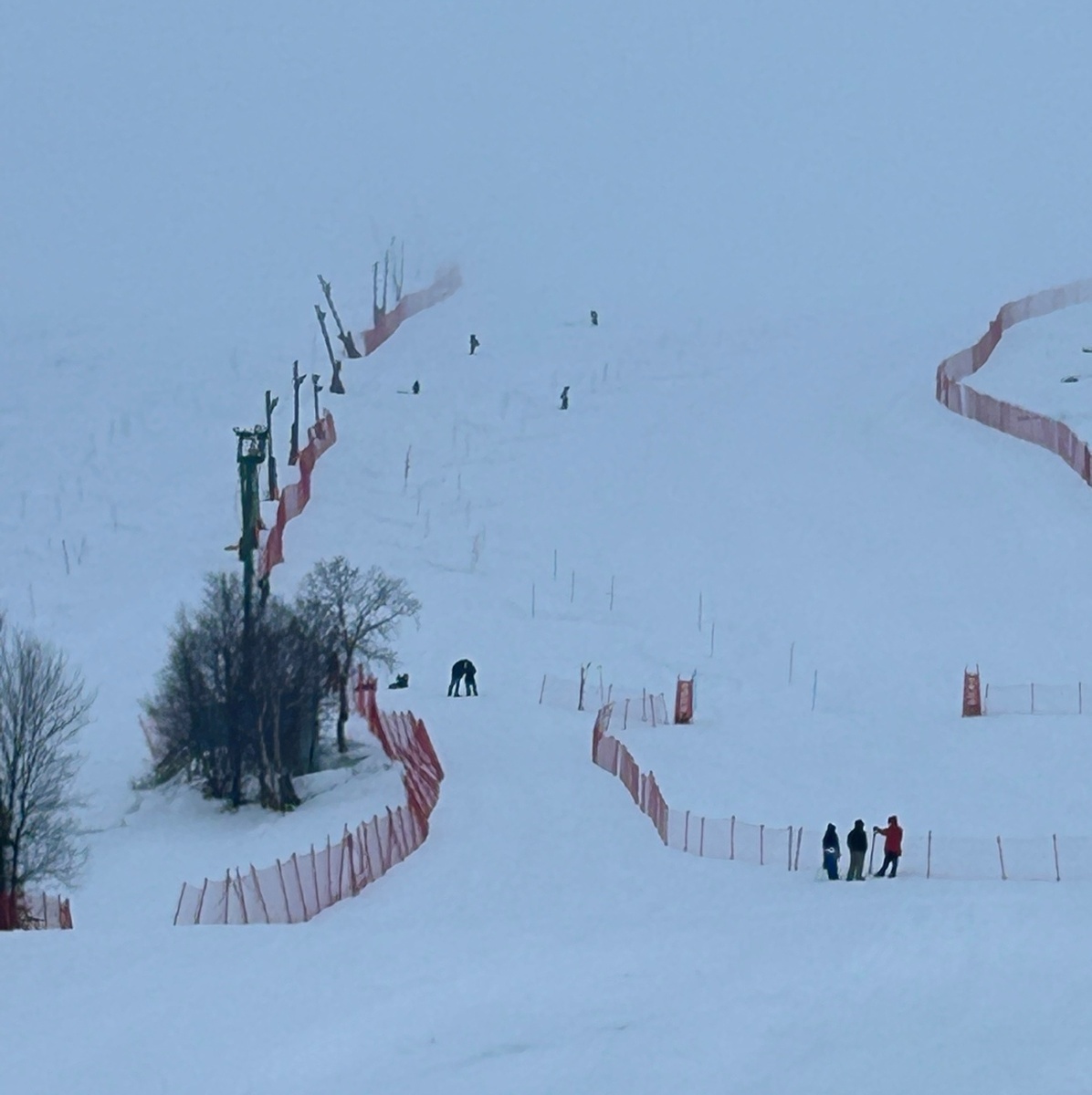    Спортсмен из Карелии завоевал золото на первенстве по горнолыжному спорту в Мончегорске© Центр спортивной подготовки Карелии