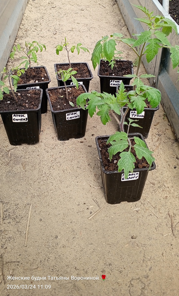 Почувствуй разницу..