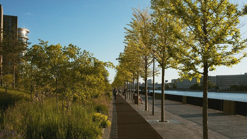    фото: freepik.com / freepik.com